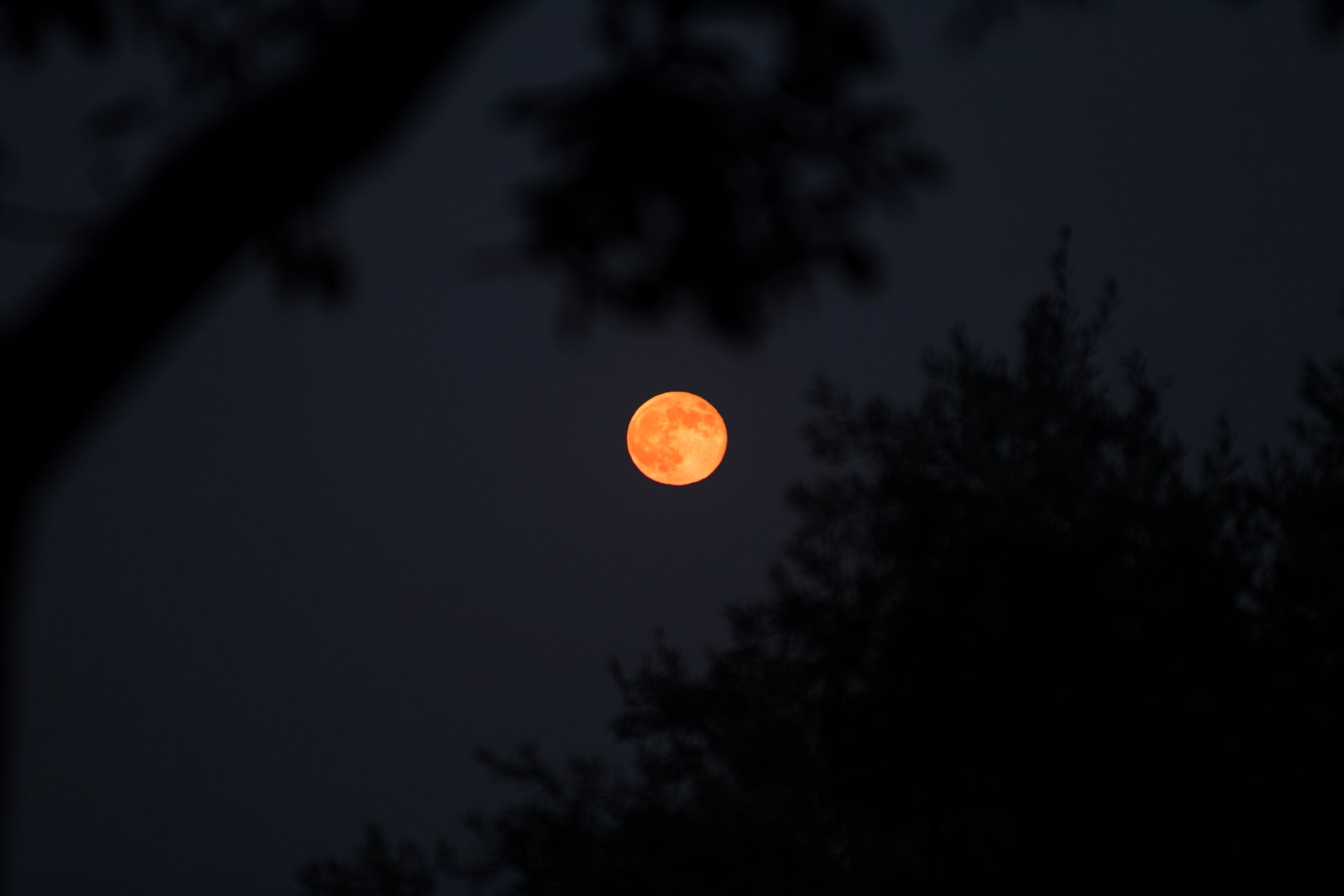 Orange Full Moon